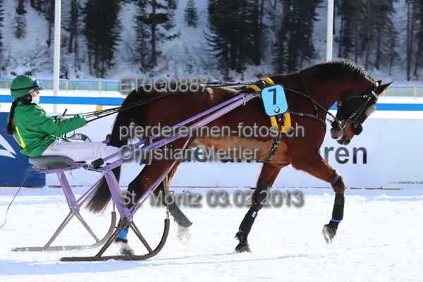 ET0Q0887 prot